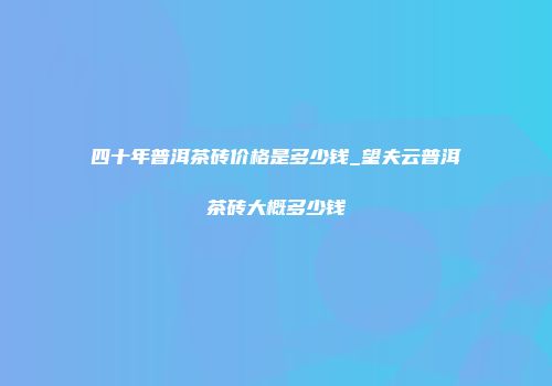 四十年普洱茶砖价格是多少钱_望夫云普洱茶砖大概多少钱