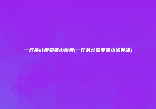 一斤茶叶需要多少嫩芽(一斤茶叶需要多少嫩芽呢)