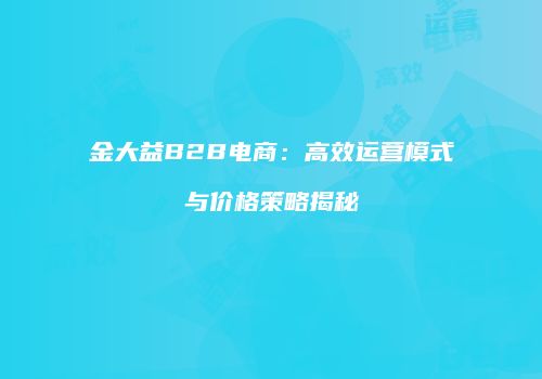 金大益B2B电商：高效运营模式与价格策略揭秘
