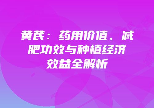 黄芪：药用价值、减肥功效与种植经济效益全解析