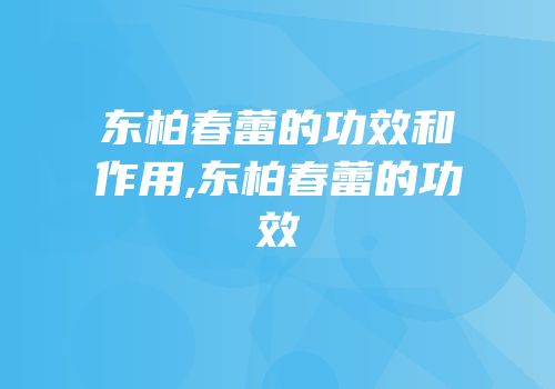 东柏春蕾的功效和作用,东柏春蕾的功效