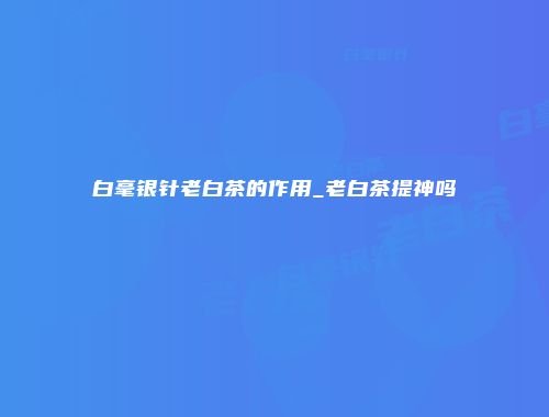 白毫银针老白茶的作用_老白茶提神吗