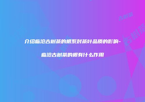 介绍临沧古树茶的根系对茶叶品质的影响-临沧古树茶的根有什么作用