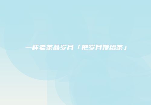 一杯老茶品岁月「把岁月嫁给茶」