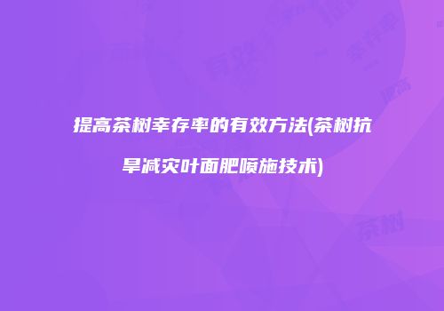 提高茶树幸存率的有效方法(茶树抗旱减灾叶面肥喷施技术)