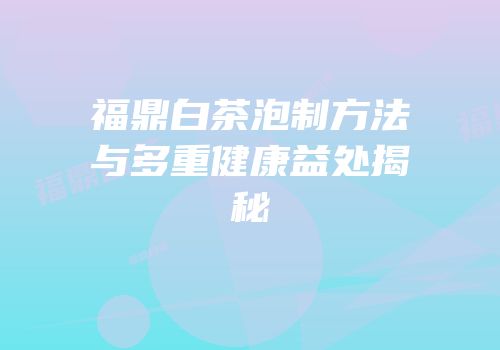 福鼎白茶泡制方法与多重健康益处揭秘