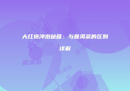 大红袍冲泡秘籍：与普洱茶的区别详解