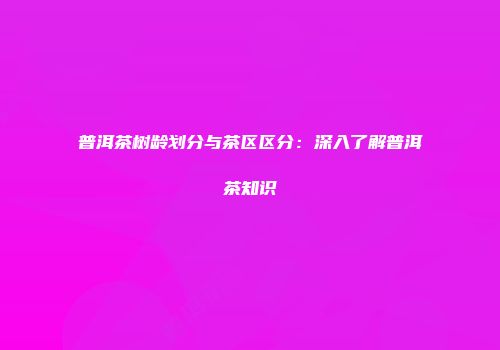 普洱茶树龄划分与茶区区分：深入了解普洱茶知识