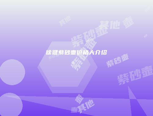 徐健紫砂壶价格大介绍