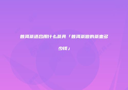 普洱茶适合用什么茶具「普洱茶做的茶壶多少钱」
