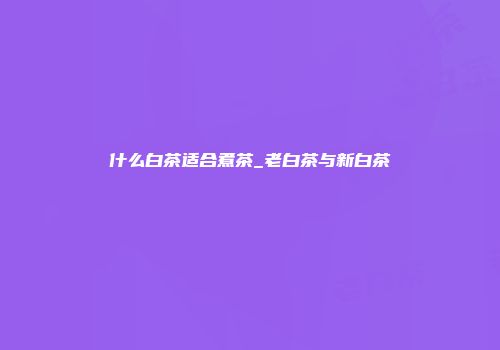 什么白茶适合煮茶_老白茶与新白茶