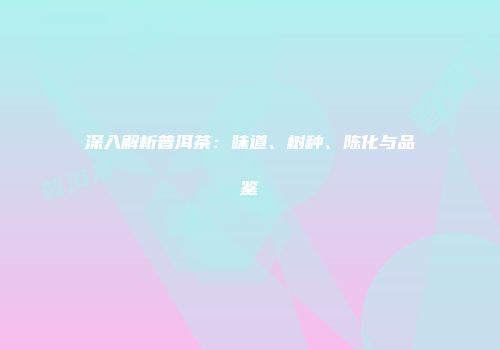 深入解析普洱茶：味道、树种、陈化与品鉴