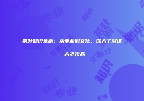 茶叶知识全解：从专业到文化，深入了解这一古老饮品