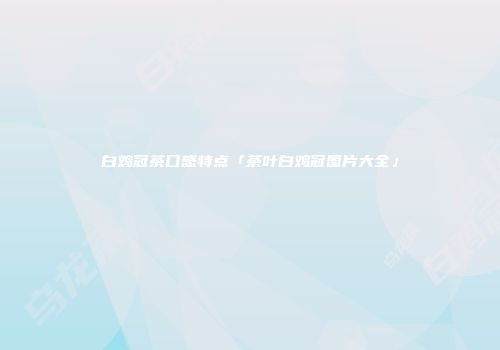 白鸡冠茶口感特点「茶叶白鸡冠图片大全」