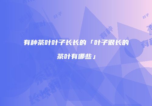 有种茶叶叶子长长的「叶子很长的茶叶有哪些」