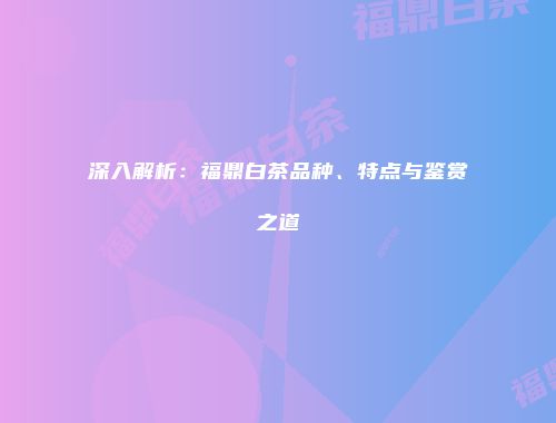 深入解析：福鼎白茶品种、特点与鉴赏之道