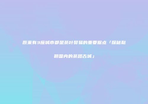 原来有3座城市都是茶叶贸易的重要据点「探秘鞑靼国内的茶路古城」