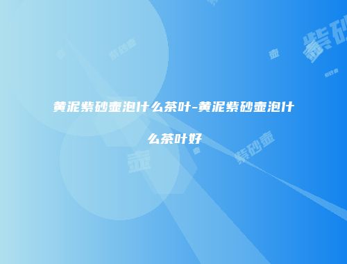 黄泥紫砂壶泡什么茶叶-黄泥紫砂壶泡什么茶叶好