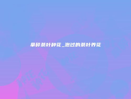 拿碎茶叶种花_泡过的茶叶养花