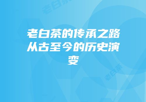 老白茶的传承之路从古至今的历史演变
