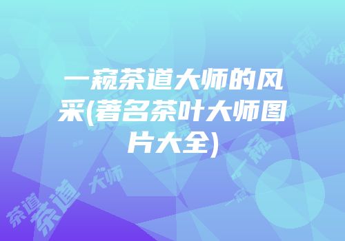 一窥茶道大师的风采(著名茶叶大师图片大全)