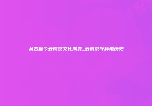 从古至今云南茶文化演变_云南茶叶种植历史