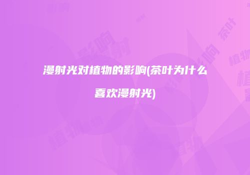 漫射光对植物的影响(茶叶为什么喜欢漫射光)