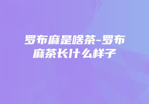 罗布麻是啥茶-罗布麻茶长什么样子
