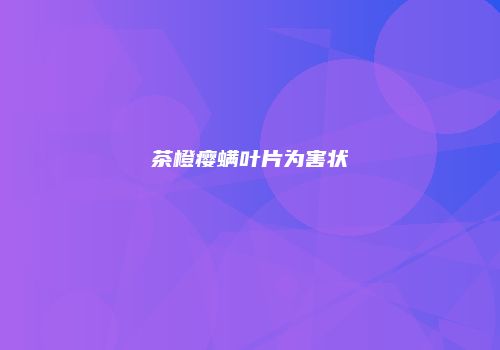 茶橙瘿螨叶片为害状