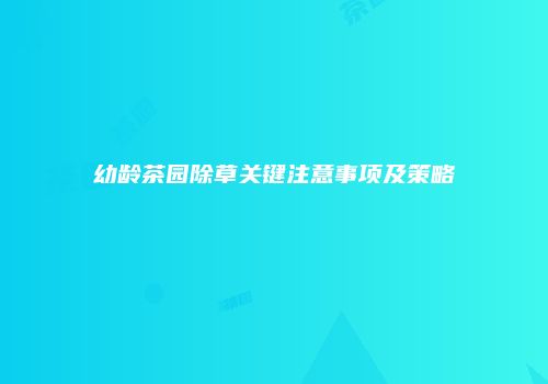 幼龄茶园除草关键注意事项及策略