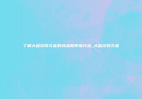 了解大益川羽孔雀的特点和养殖方法_大益川羽孔雀
