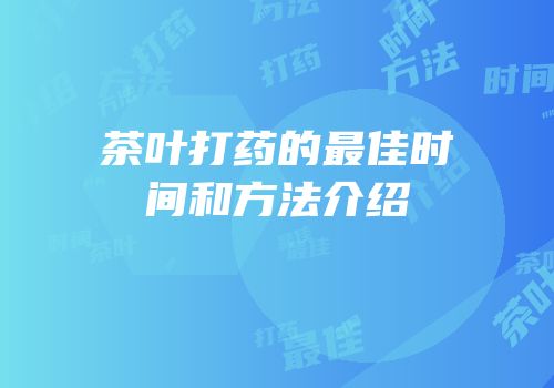 茶叶打药的最佳时间和方法介绍