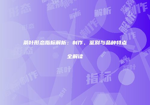 茶叶形态指标解析：制作、鉴别与品种特点全解读