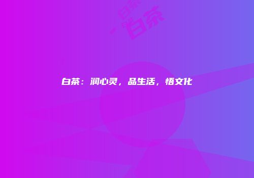 白茶：润心灵，品生活，悟文化