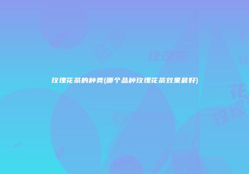 玫瑰花茶的种类(哪个品种玫瑰花茶效果最好)