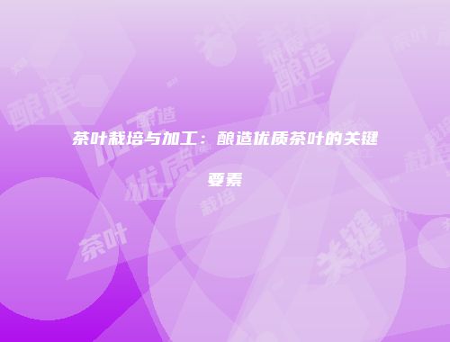 茶叶栽培与加工：酿造优质茶叶的关键要素