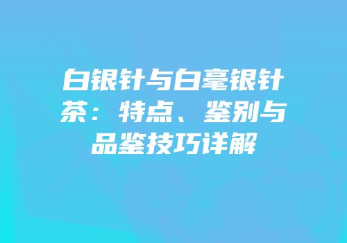 白银针与白毫银针茶：特点、鉴别与品鉴技巧详解