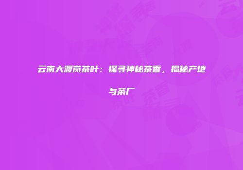 云南大渡岗茶叶：探寻神秘茶香，揭秘产地与茶厂