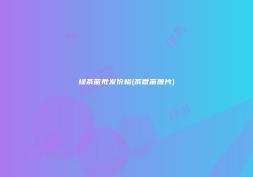 绿茶苗批发价格(茶香苗图片)