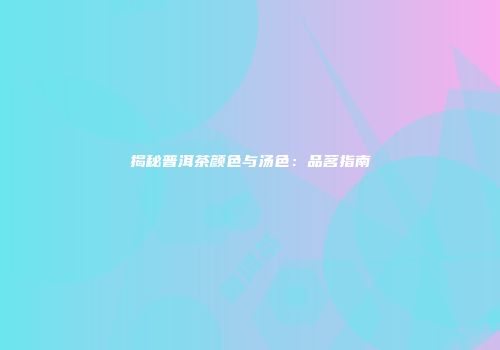 揭秘普洱茶颜色与汤色：品茗指南