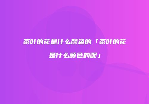 茶叶的花是什么颜色的「茶叶的花是什么颜色的呢」