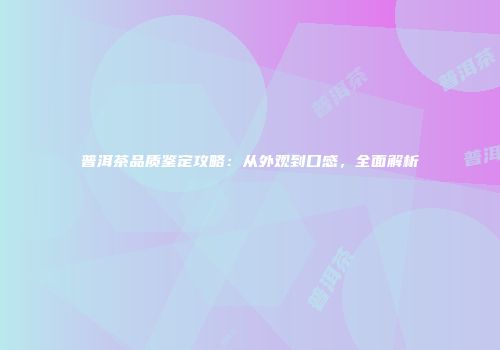 普洱茶品质鉴定攻略：从外观到口感，全面解析