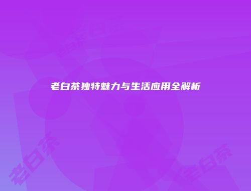 老白茶独特魅力与生活应用全解析