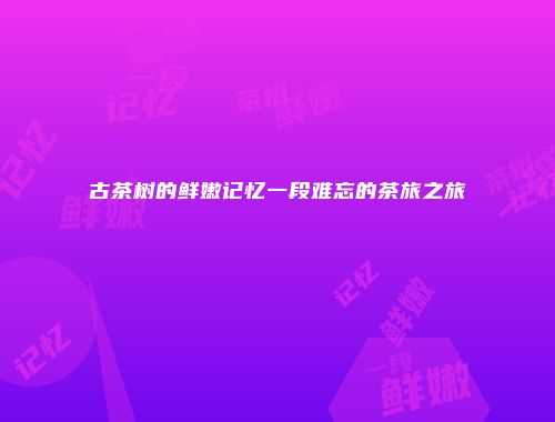 古茶树的鲜嫩记忆一段难忘的茶旅之旅