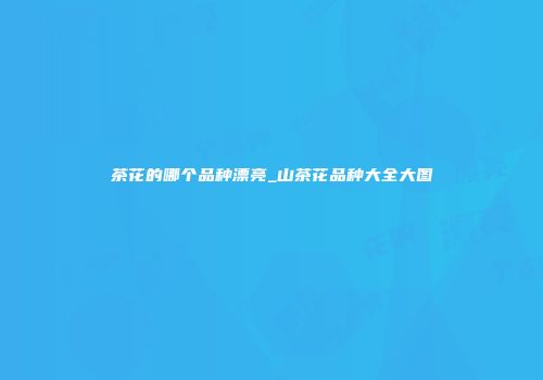 茶花的哪个品种漂亮_山茶花品种大全大图