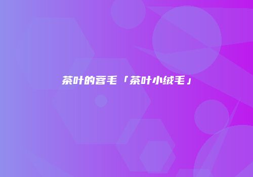 茶叶的蓉毛「茶叶小绒毛」