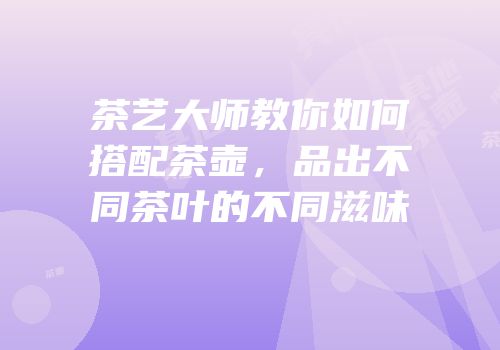 茶艺大师教你如何搭配茶壶，品出不同茶叶的不同滋味