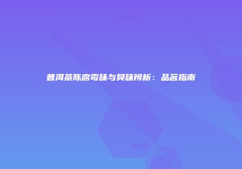 普洱茶陈腐霉味与臭味辨析：品茗指南