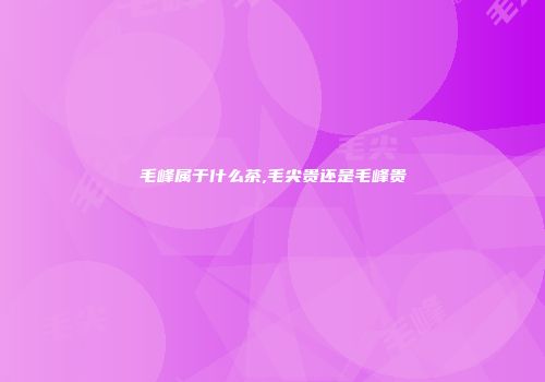 毛峰属于什么茶,毛尖贵还是毛峰贵