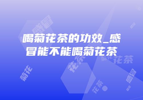 喝菊花茶的功效_感冒能不能喝菊花茶